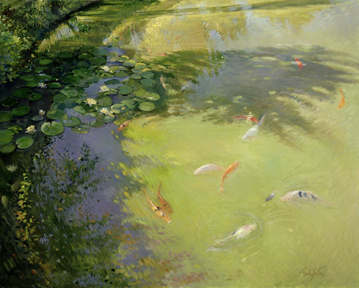 Piórkowa zabawa autorstwa Timothy Easton