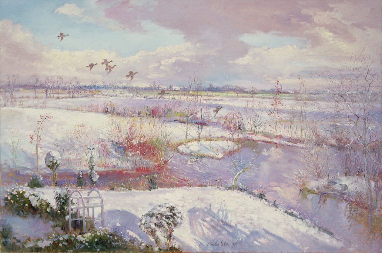 Lot w dół, 1993 autorstwa Timothy Easton