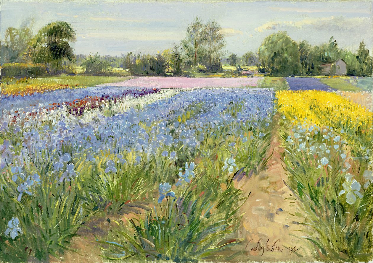 Kwiecista szachownica, 1995 autorstwa Timothy Easton