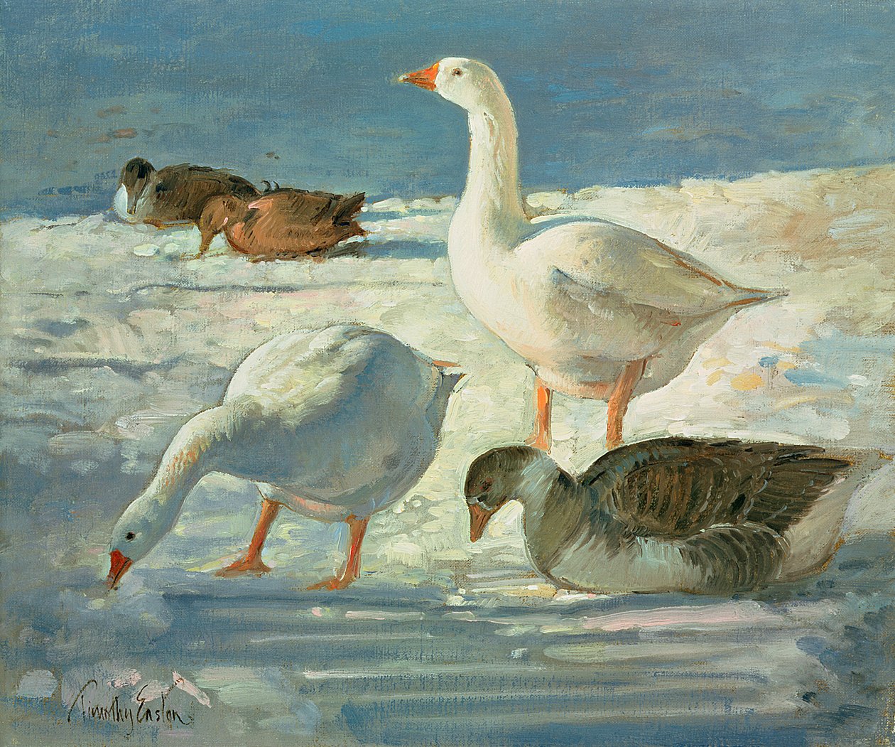 Gęsi i Krzyżówki, 2000 autorstwa Timothy Easton