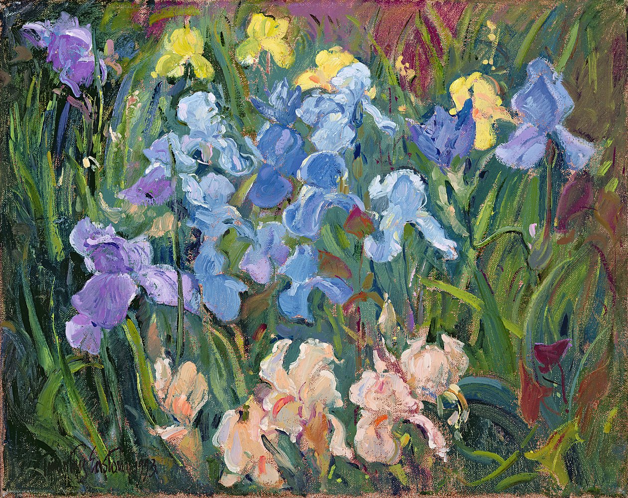 Irysy: różowe, niebieskie i złote, 1993 autorstwa Timothy Easton