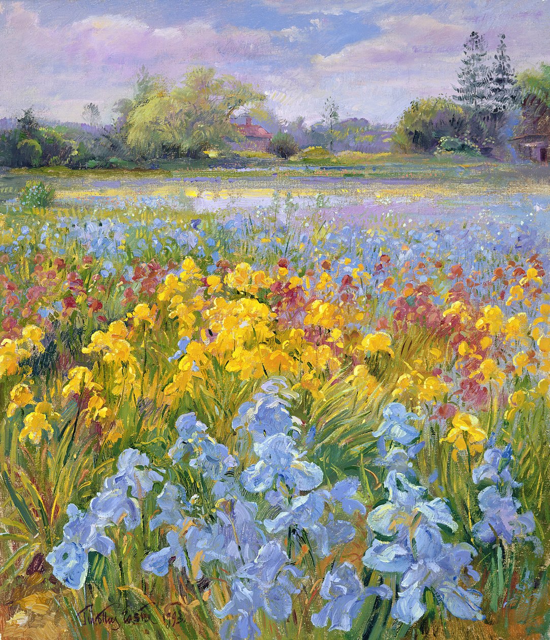 Irysy, wierzba i jodła, 1993 autorstwa Timothy Easton
