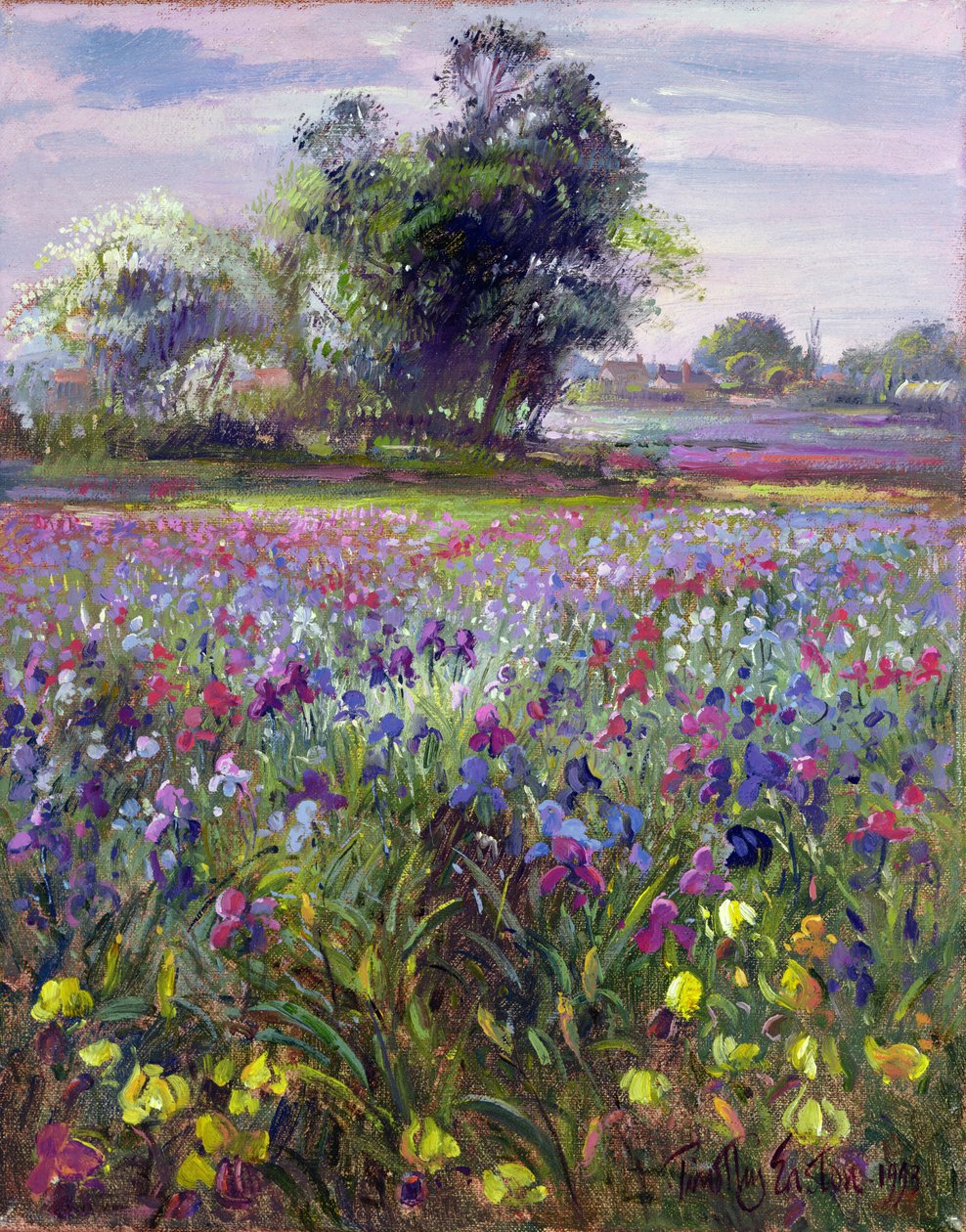 Irysy i odległe majowe drzewo, 1993 autorstwa Timothy Easton
