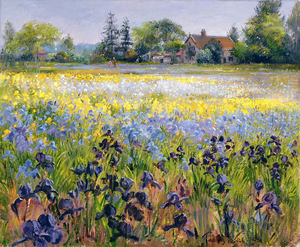 Irysy i dwie jodły, 1993 autorstwa Timothy Easton