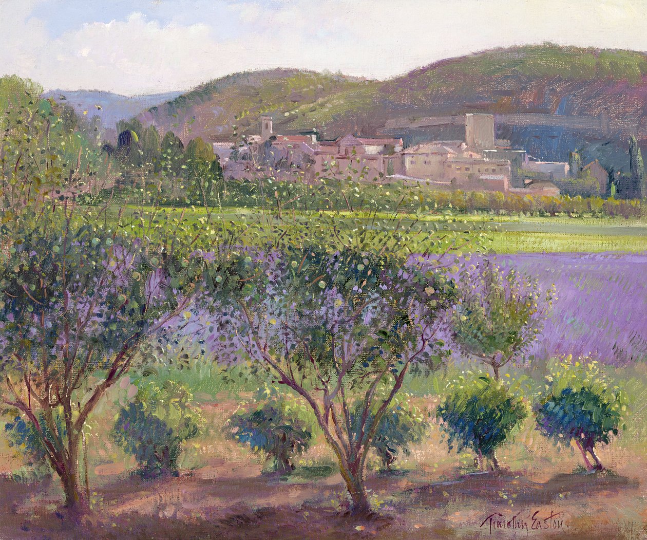 Lawenda widziana przez drzewa pigwy, Monclus autorstwa Timothy Easton