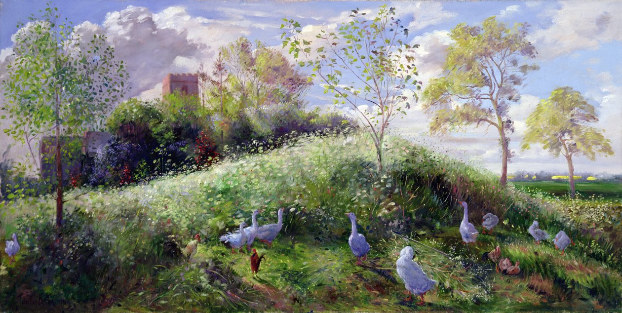 Góra w maju autorstwa Timothy Easton