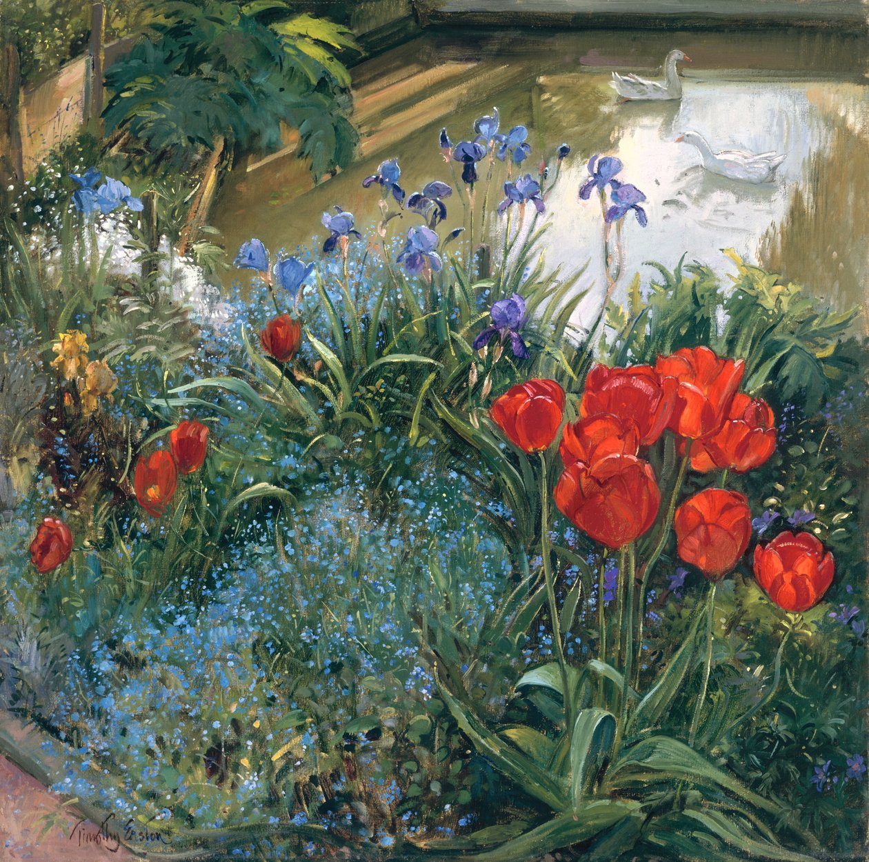 Czerwone tulipany i gęsi autorstwa Timothy Easton
