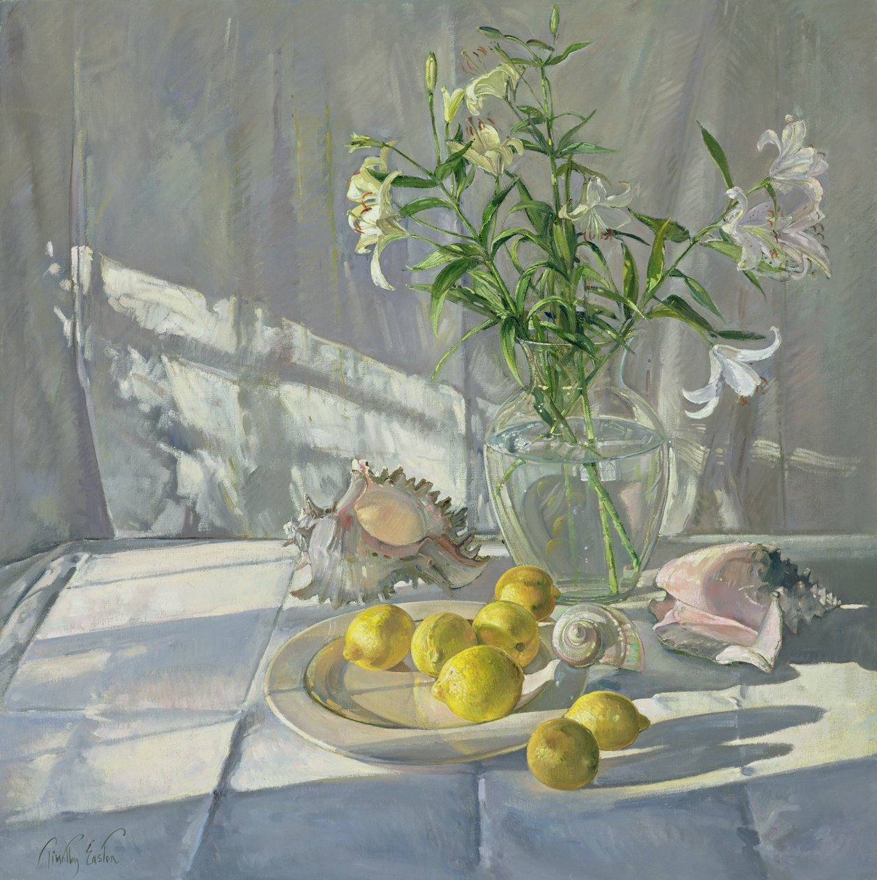 Odbicia i cienie autorstwa Timothy Easton
