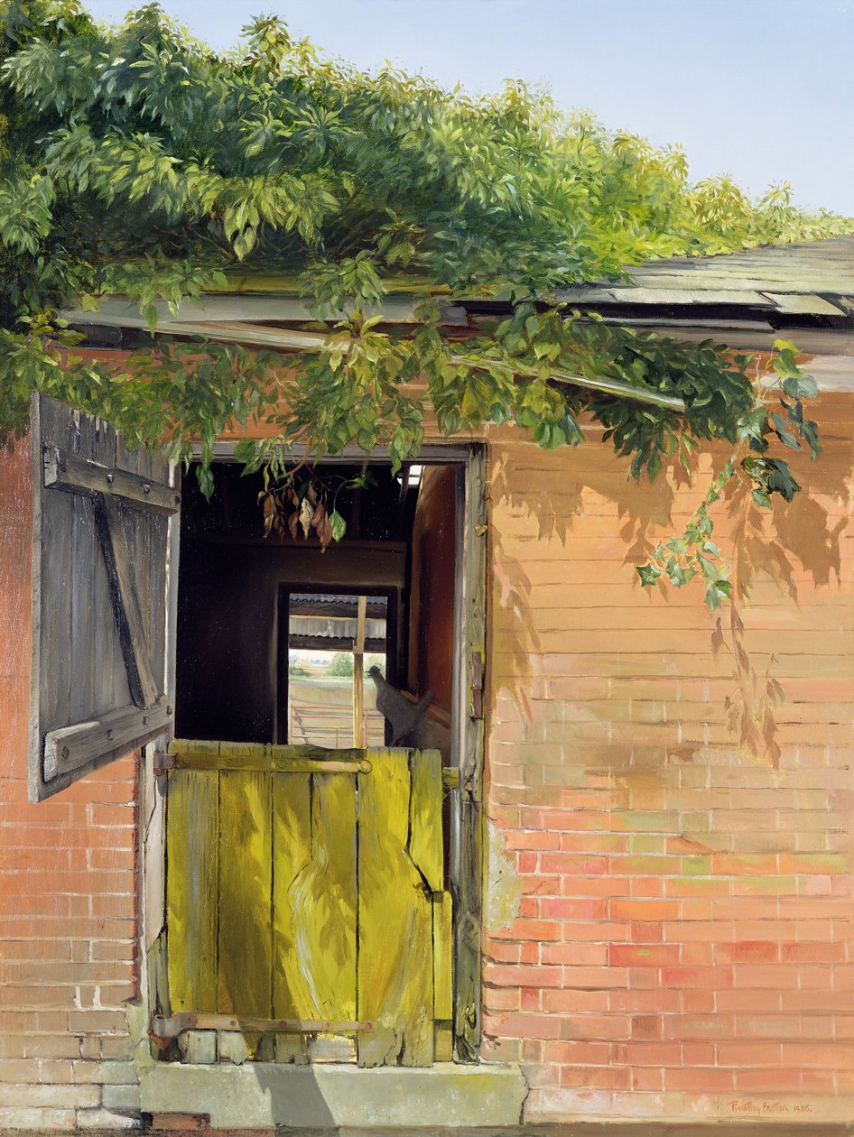 Stabilne drzwi autorstwa Timothy Easton
