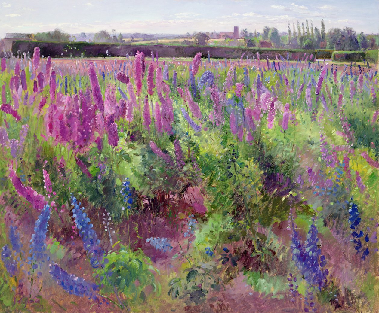 Pole Delphinium, 1991 autorstwa Timothy Easton