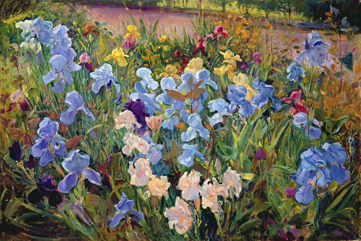 Łóżko tęczówki, 1993 autorstwa Timothy Easton