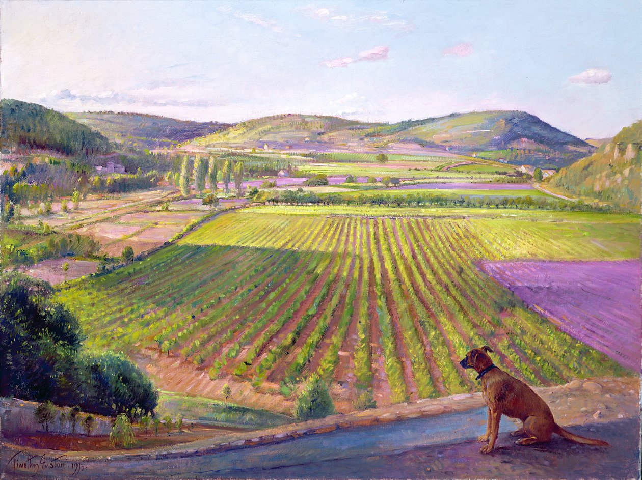 Oglądanie z murów, Stara Prowansja, 1993 autorstwa Timothy Easton