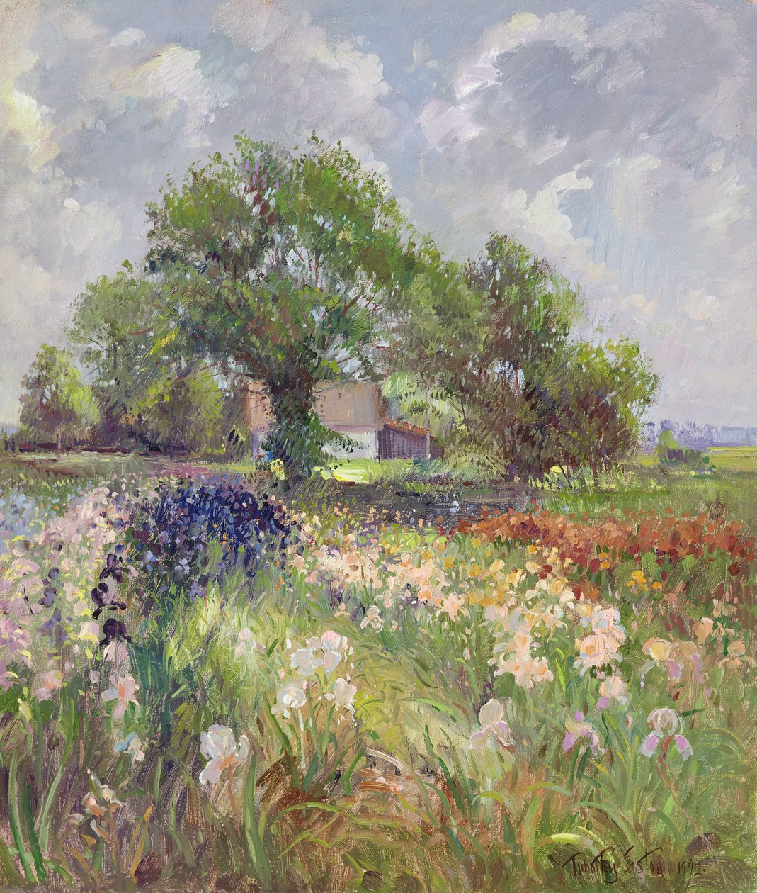 Biała Stodoła i Pole Irysów, 1992 autorstwa Timothy Easton