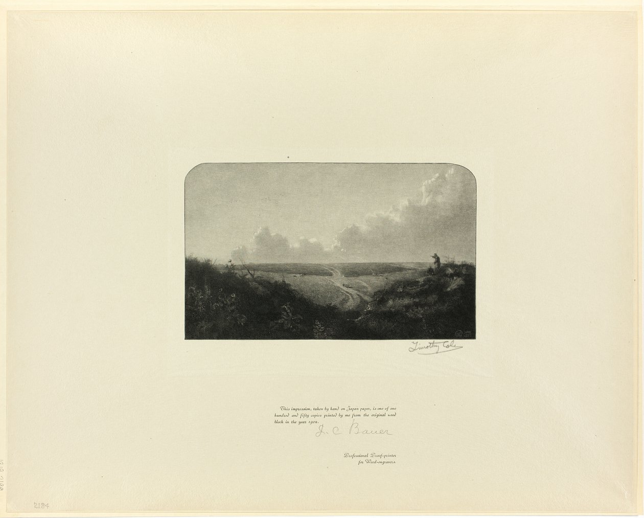Mousehold Heath, od Staroangielskich Mistrzów autorstwa Timothy Cole