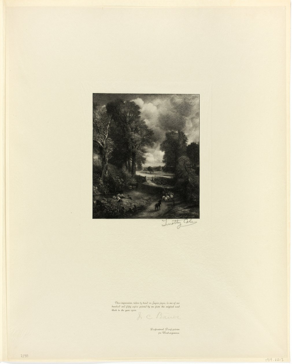 Pole kukurydzy, od Old English Masters autorstwa Timothy Cole