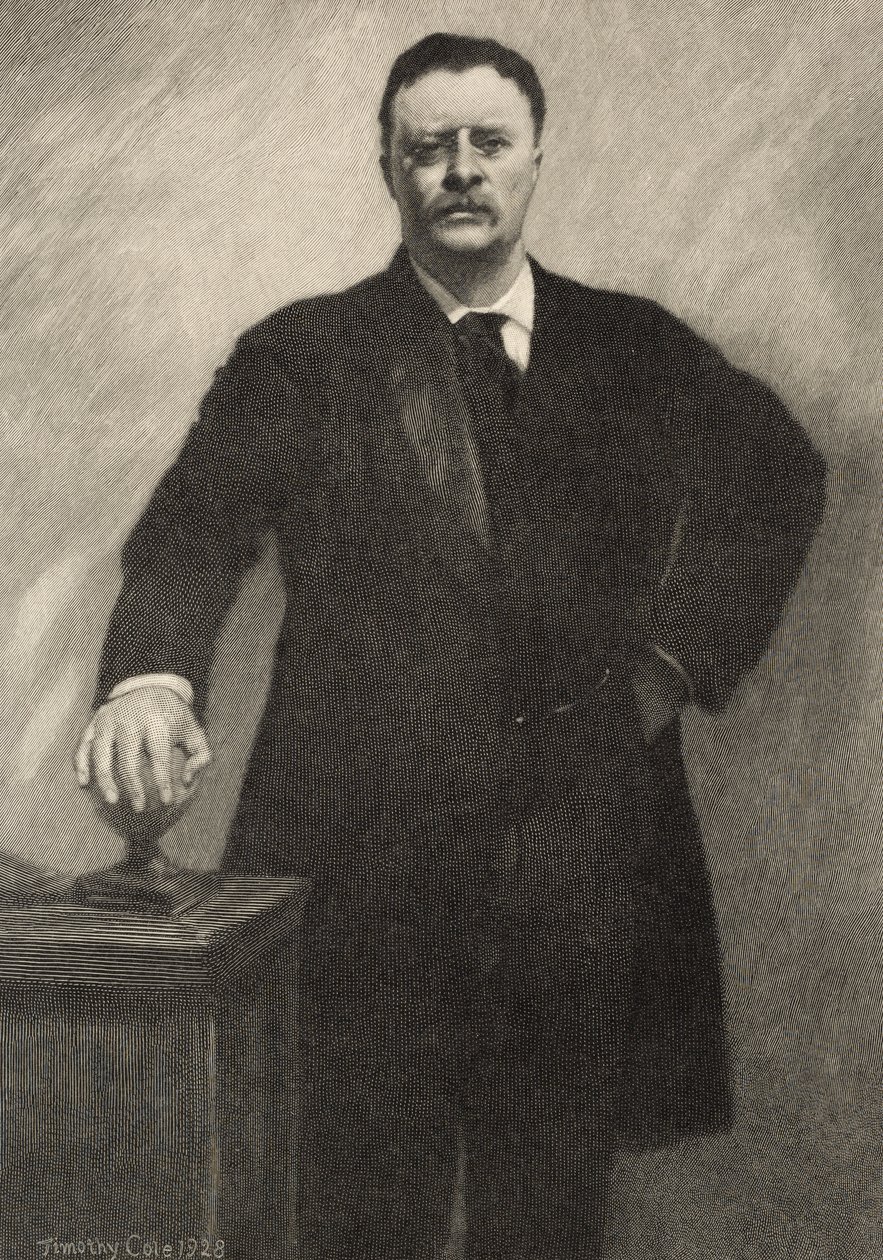 Theodore Roosevelt, 1928 autorstwa Timothy Cole