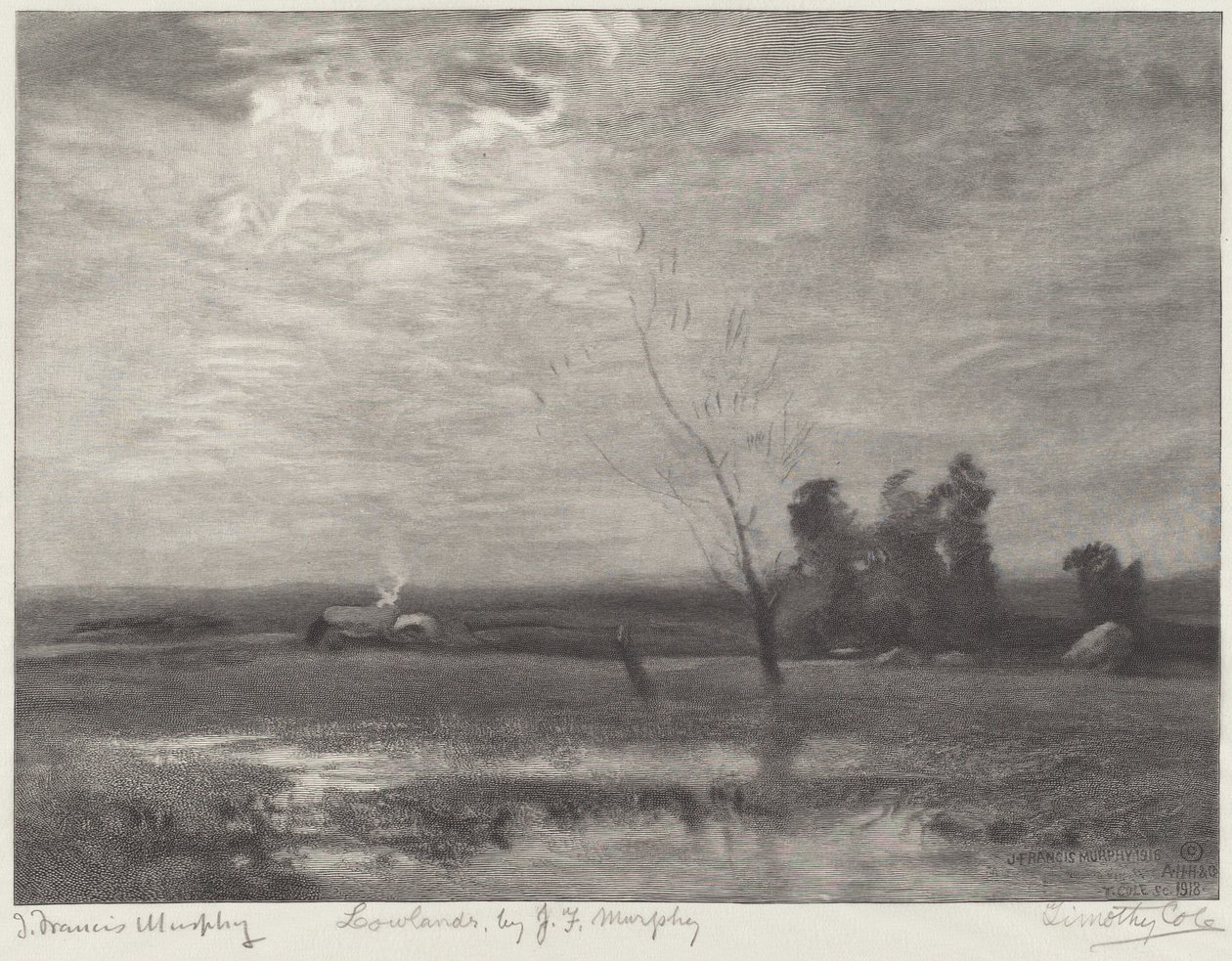 Niziny autorstwa Timothy Cole after John Francis Murphy