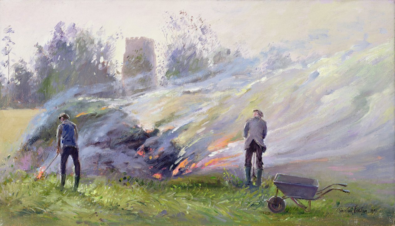 Jesienne ognisko autorstwa Timothy Easton