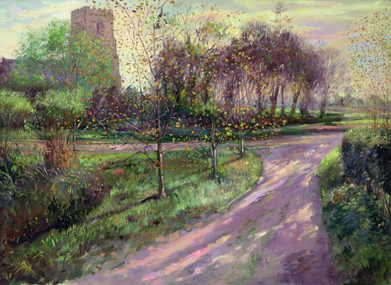 Jesienny Gaj autorstwa Timothy Easton