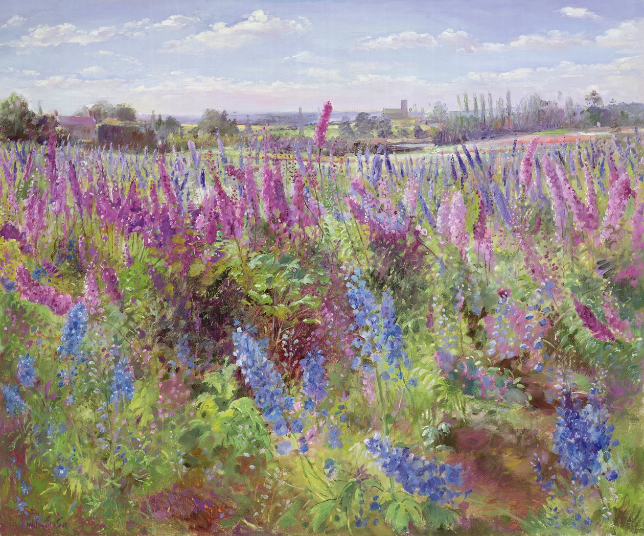 Pole i kościół Delphinium autorstwa Timothy Easton