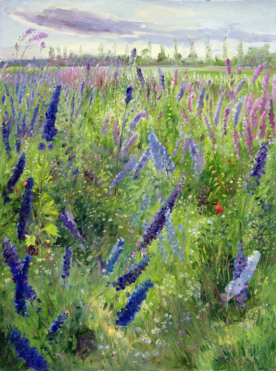 Delphiniums i wschodzące słońce autorstwa Timothy Easton