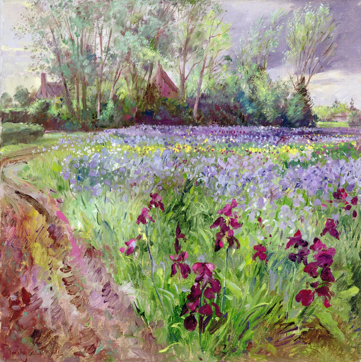 Irysowe pole, burza zbierająca się autorstwa Timothy Easton