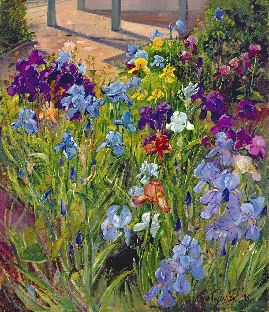 Irysy i cienie letnich domów, 1996 autorstwa Timothy Easton