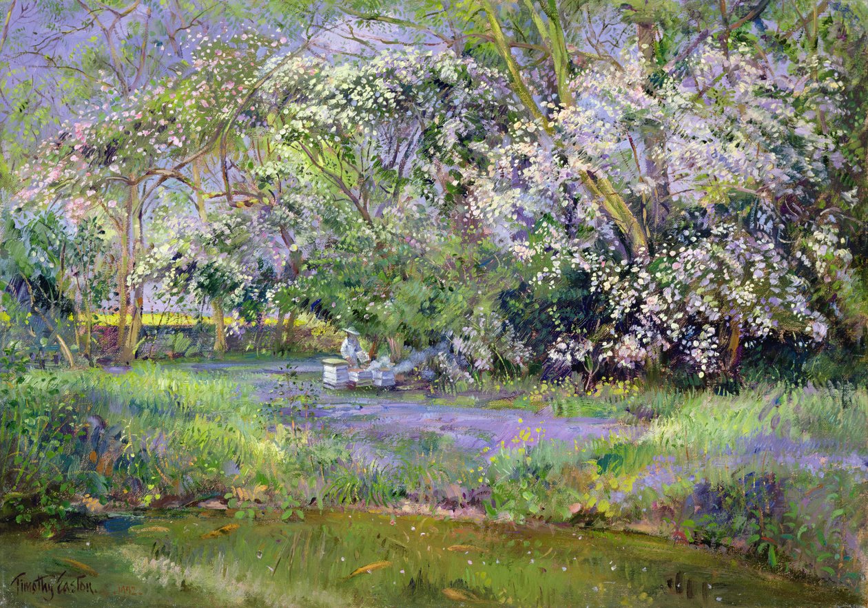 Ule leśne autorstwa Timothy Easton