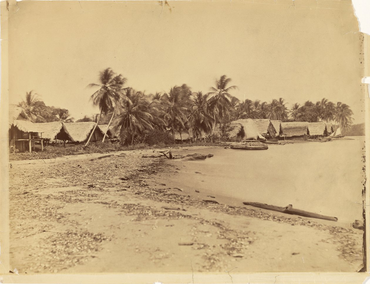 [Chaty, palmy i plaża, Itshumus w Darién (Panama)] autorstwa Timothy H. O