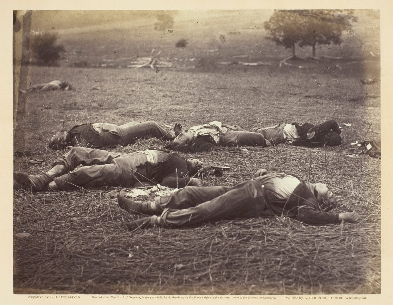 Pole, na którym poległ generał Reynolds, Gettysburg autorstwa Timothy O