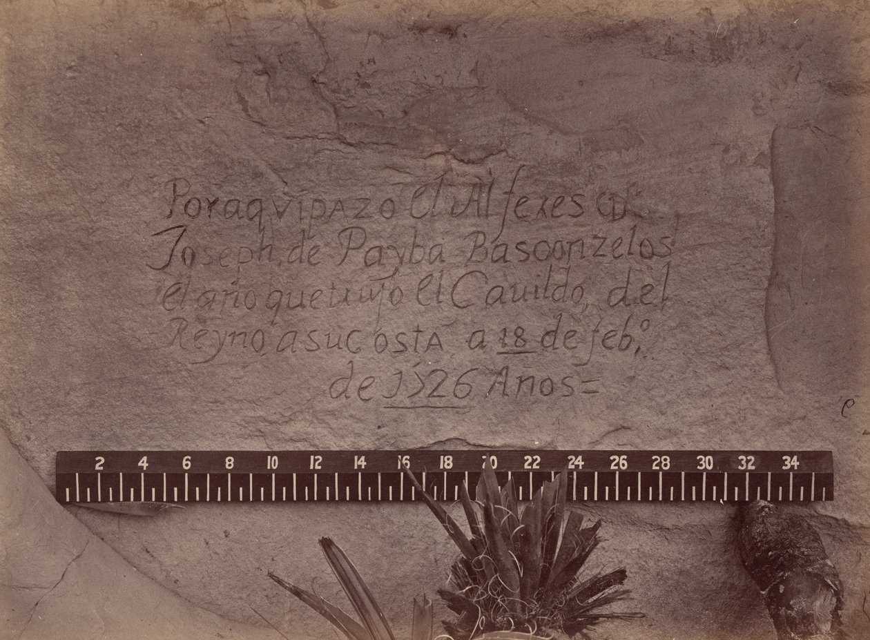 Poszukiwania i badania geograficzne i geologiczne na zachód od 100. południka autorstwa Timothy O