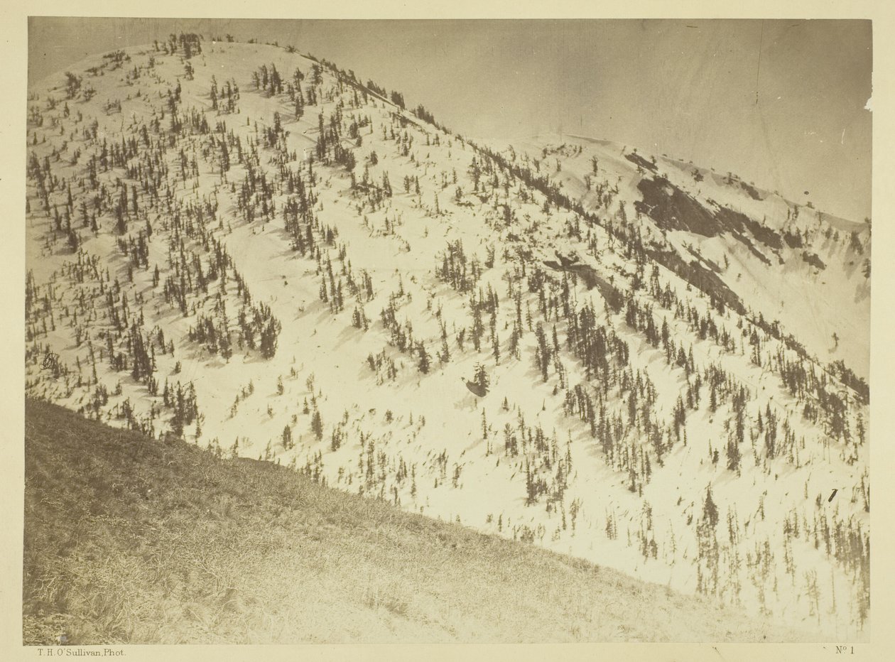Snow Peaks, okręg górniczy Bull Run, Nevada autorstwa Timothy O