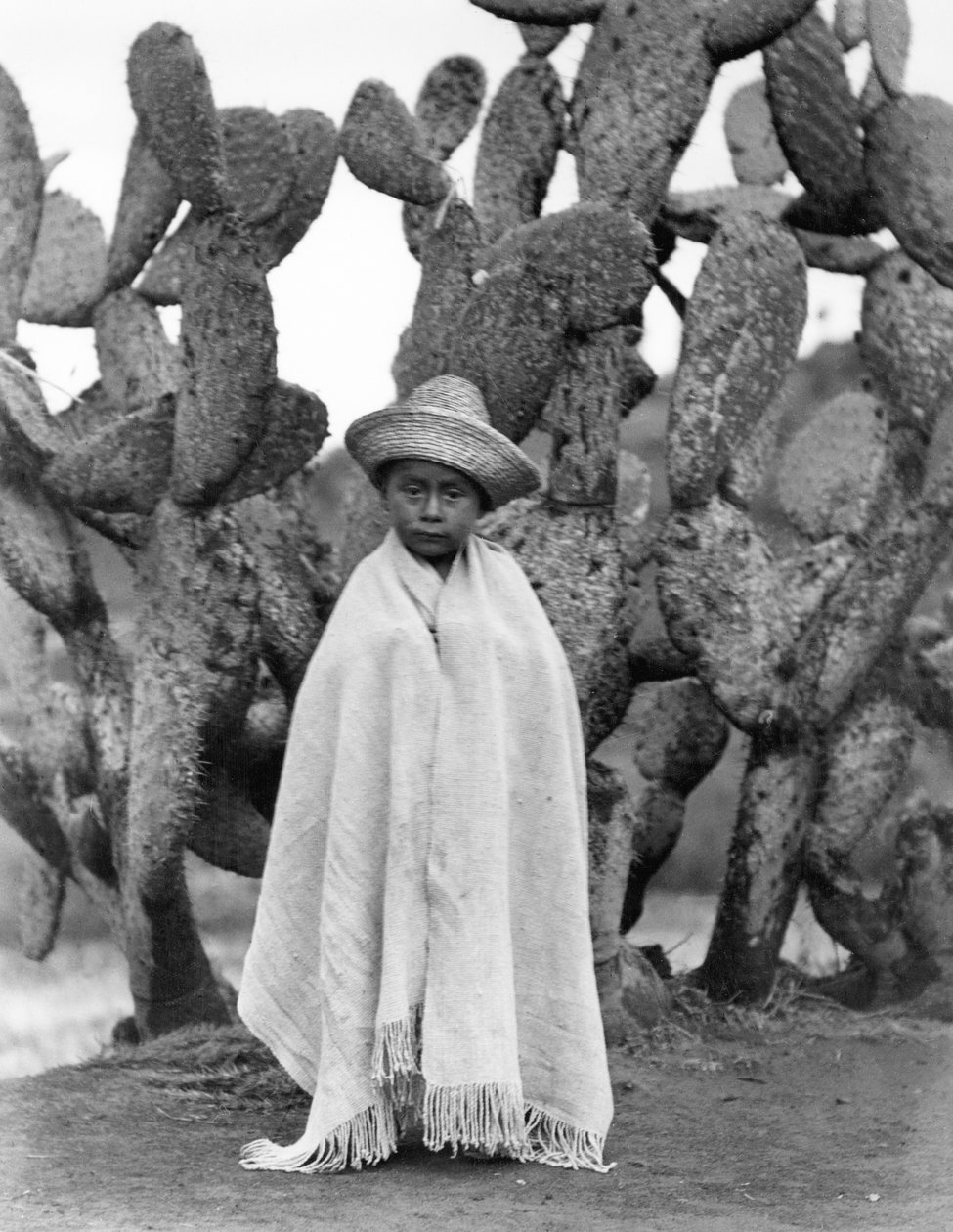 Chłopiec przed kaktusem, stan Veracruz, Meksyk, 1927 (bw zdjęcie) autorstwa Tina Modotti