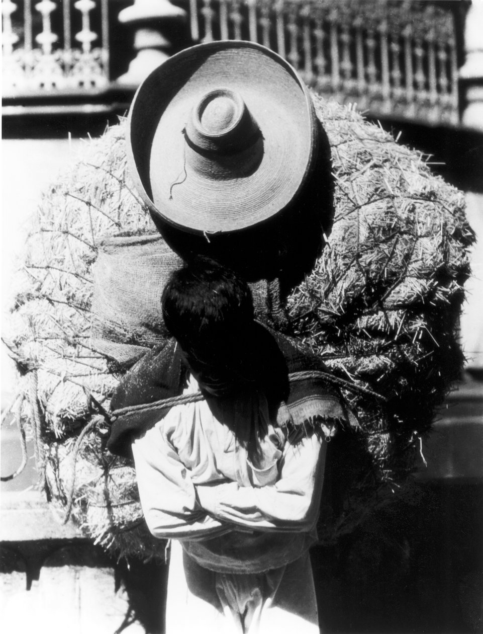 Campesino, stan Veracruz, Meksyk, 1927 autorstwa Tina Modotti