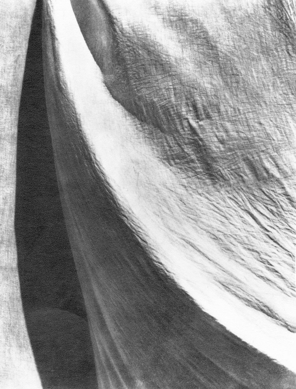 Obrus, Meksyk, 1924 autorstwa Tina Modotti