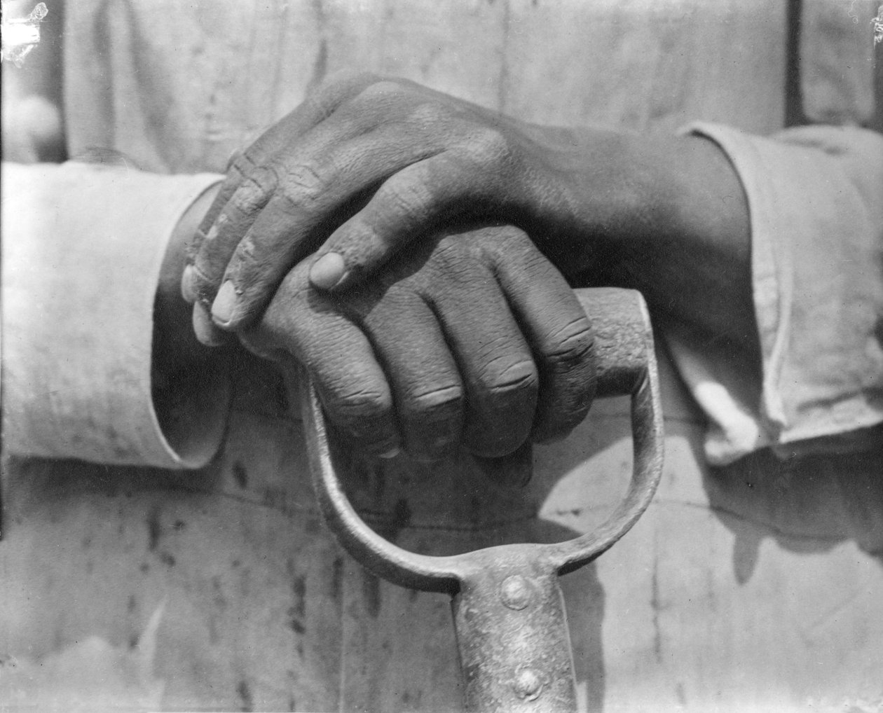 Ręce robotnika budowlanego, Meksyk, 1926 autorstwa Tina Modotti