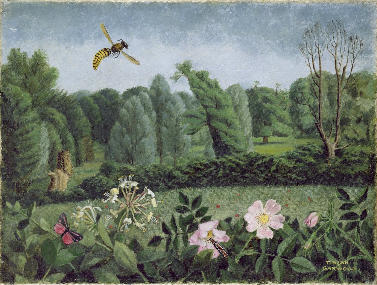 Szerszeń i dzika róża autorstwa Tirzah Ravilious
