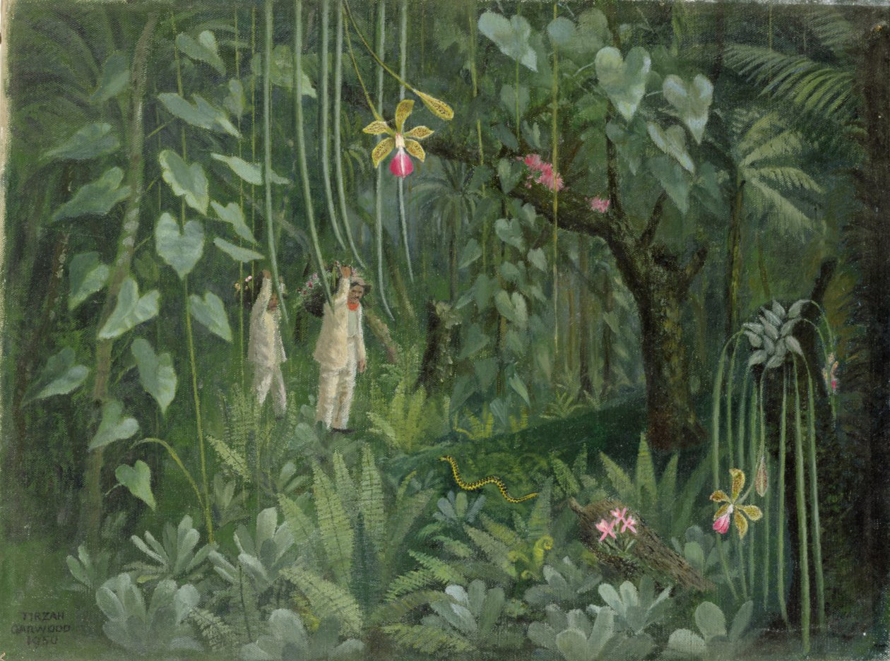 Łowcy orchidei z Brazylii autorstwa Tirzah Ravilious