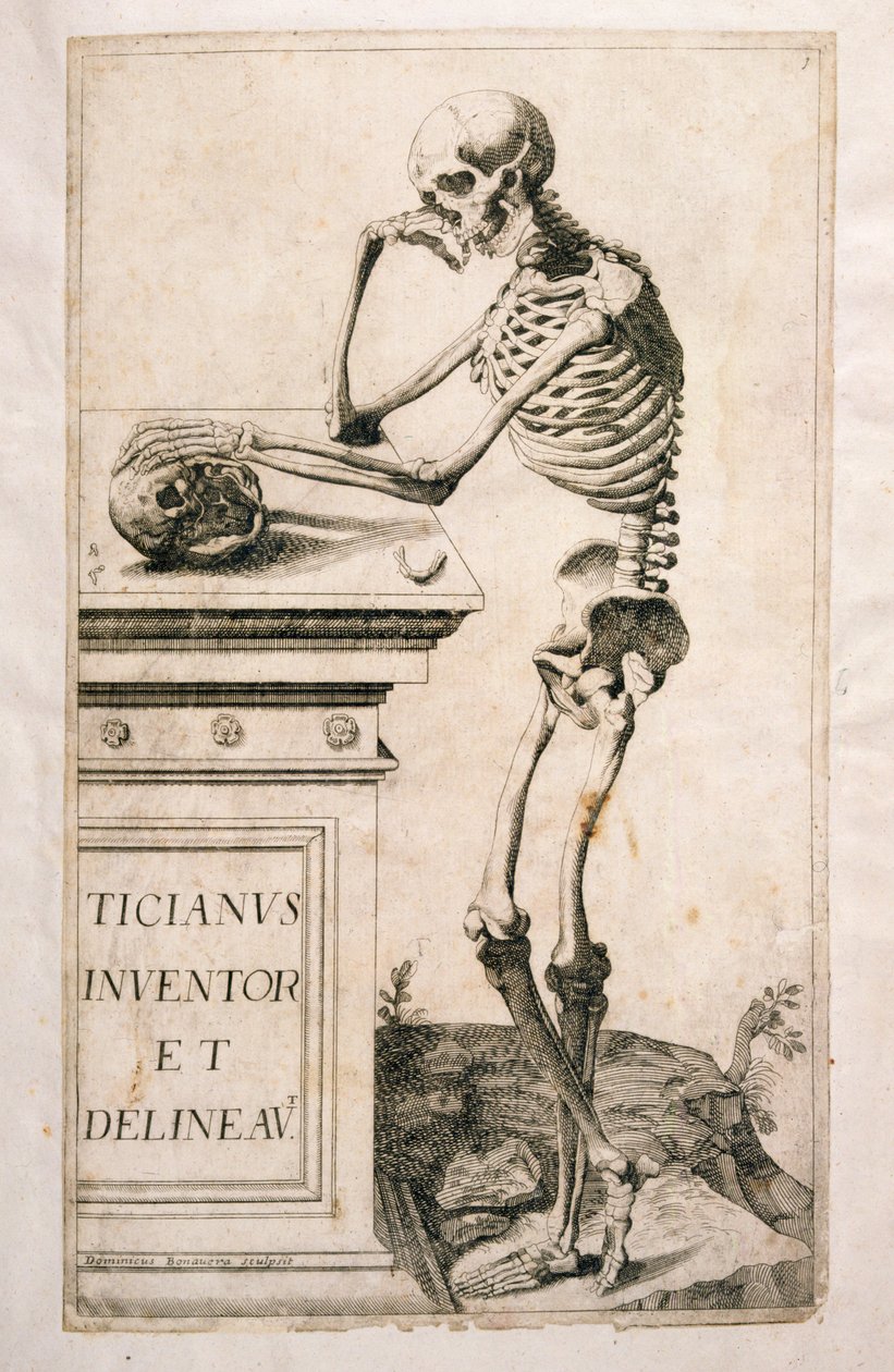 Badanie anatomiczne, Domenico Maria Bonavera (ur. 1640) (trawienie i sucha igła) autorstwa Tiziano Vecelli