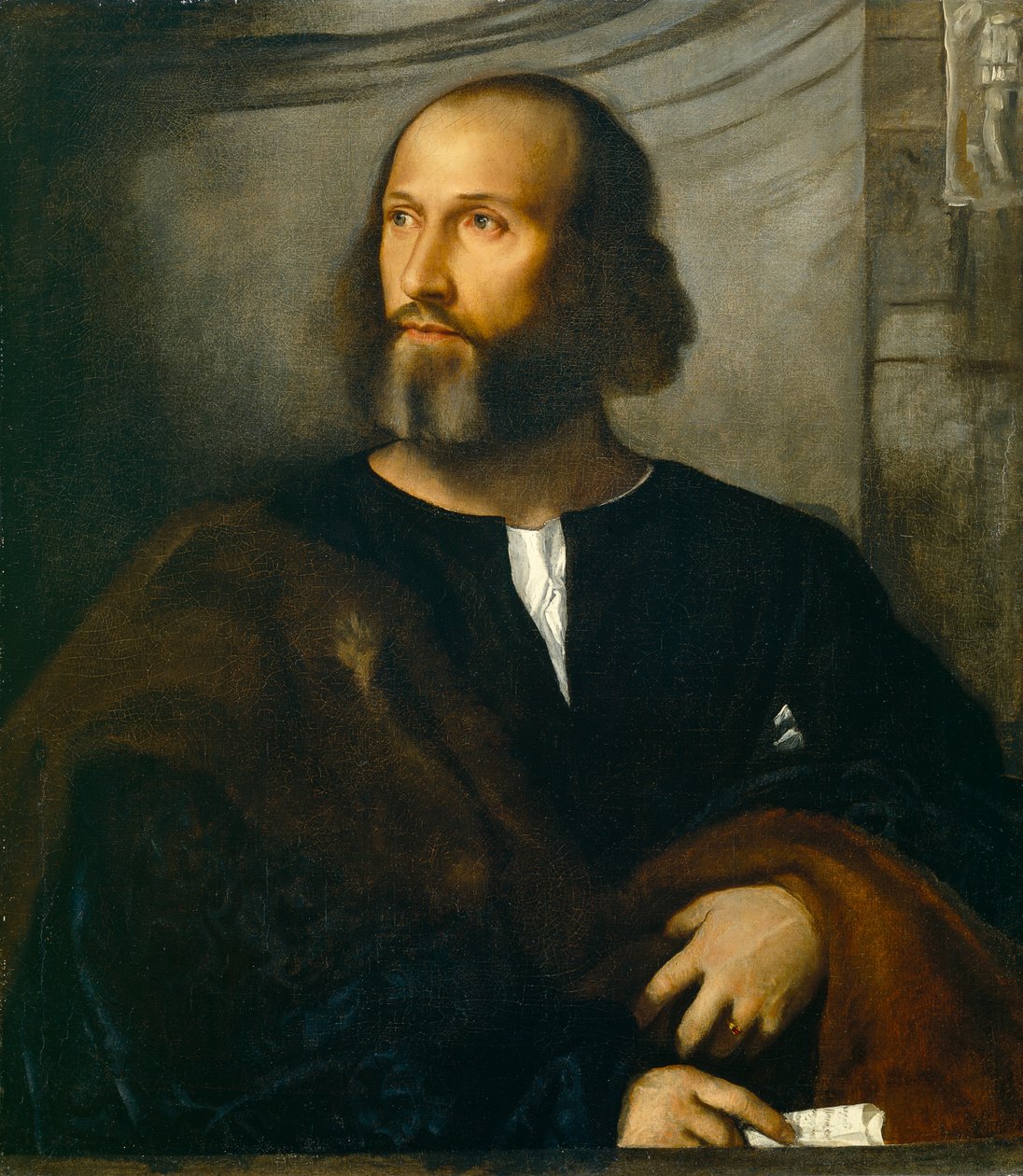 Portret brodatego mężczyzny, ok. 1515 autorstwa Tiziano Vecelli