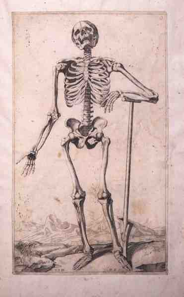 Badanie anatomiczne, Domenico Maria Bonavera (ur. 1640) (trawienie i sucha igła) autorstwa Titian (c.1488 1576) (after)