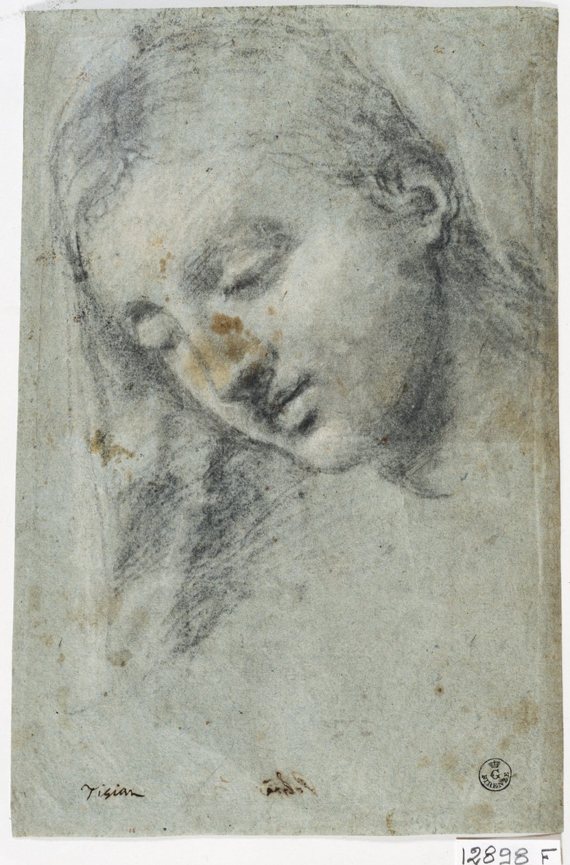 Naisen pää (hiili paperilla) kiillotusaine autorstwa Titian (c.1488 1576)