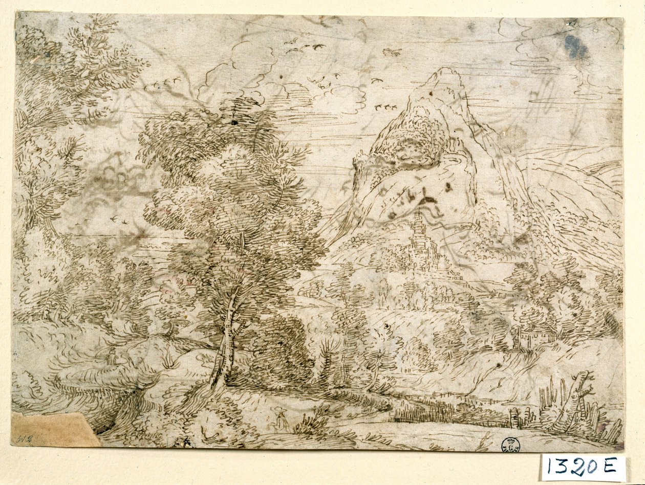 Krajobraz z ptakami w locie (tusz na papierze) autorstwa Titian (c.1488 1576)