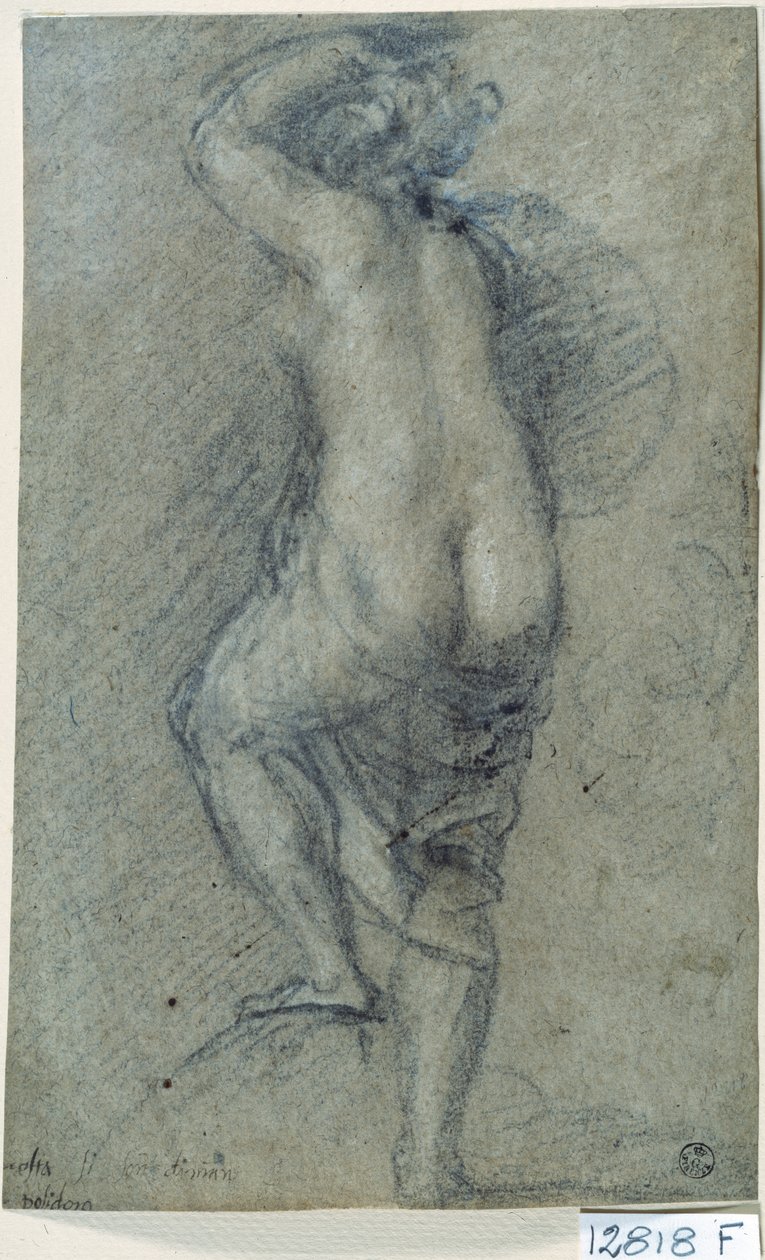 Naga kobieta (kreda na papierze) autorstwa Titian (c.1488 1576)