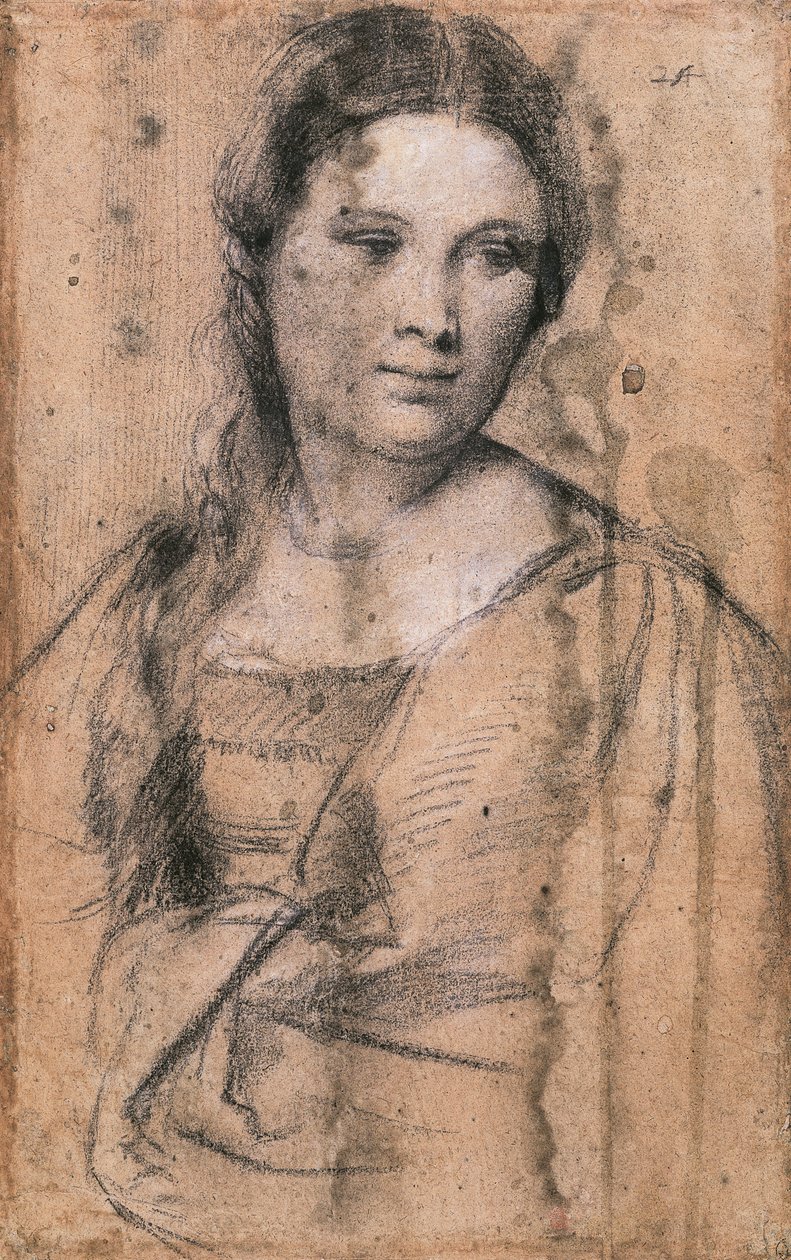 Portret młodej dziewczyny autorstwa Tycjana (ok. 1490-1576), rysunek autorstwa Titian (c.1488 1576)