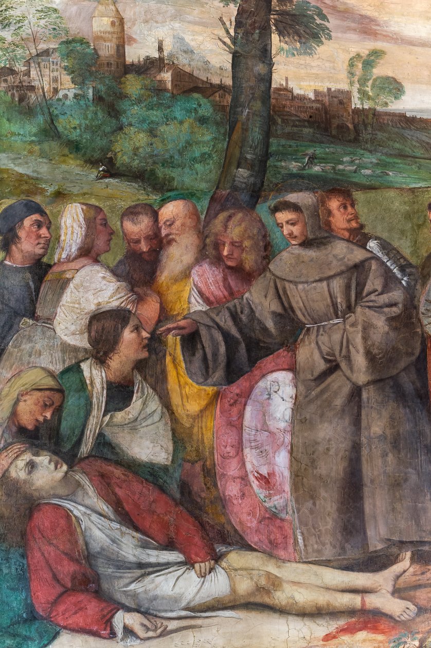 Św. Antoni ponownie przyczepia stopę do młodego mężczyzny, Szkoła Świętego, detal z 2197268 (fresk) autorstwa Titian (c.1488 1576)