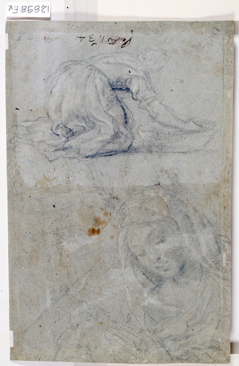 Neitsyttutkimukset (hiili paperille)kiillotus autorstwa Titian (c.1488 1576)