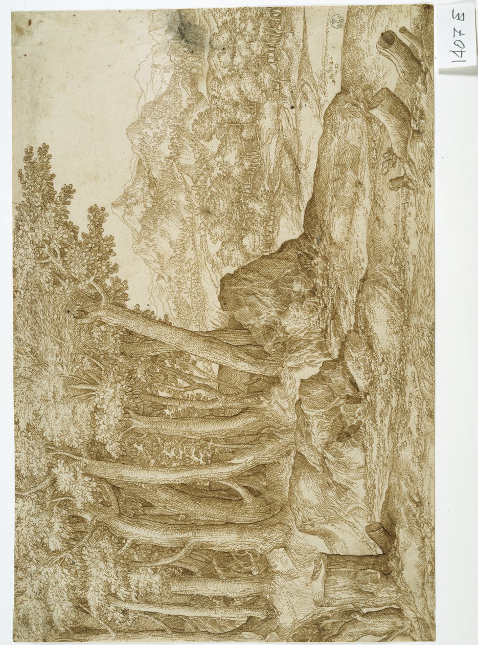 Krajobraz (pióro i tusz na papierze) autorstwa Titian (c.1488 1576)