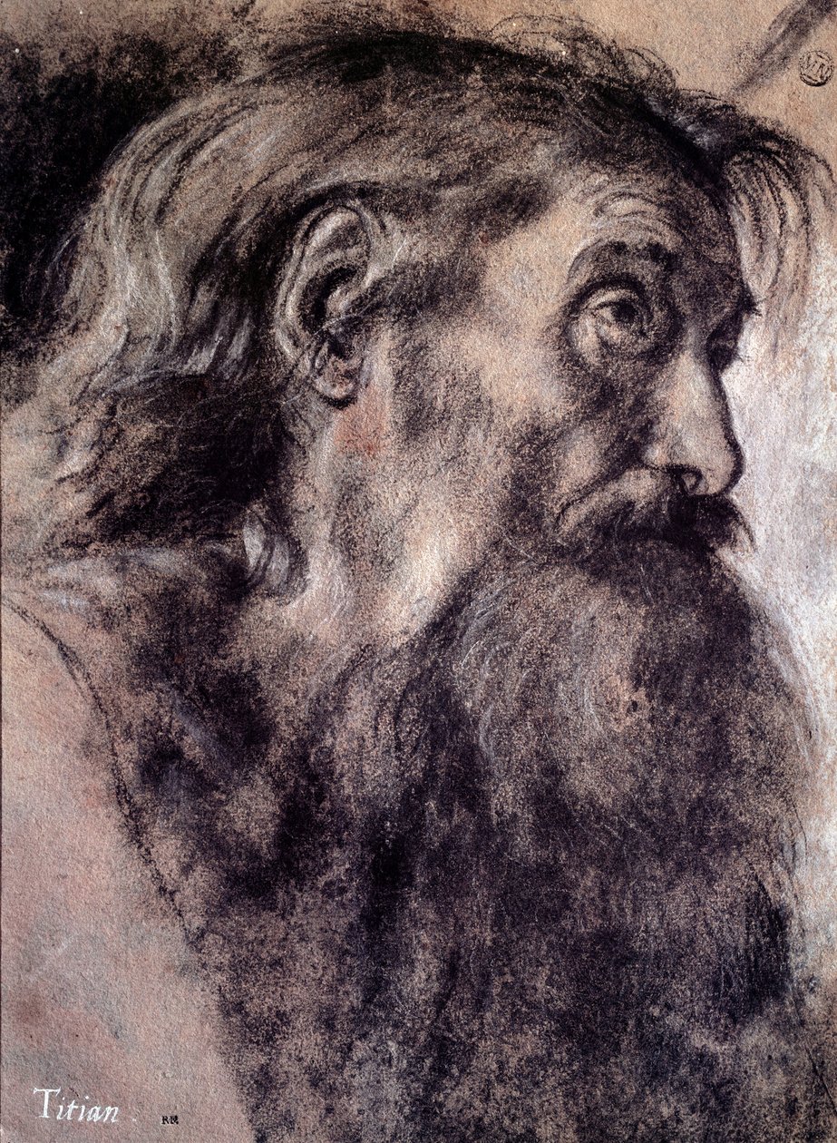 Głowa starca Rysunek Tiziano Vecellio zwany Tycjanem (1485-1576) XVI-wieczny Paryż, Luwr autorstwa Titian (c.1488 1576)