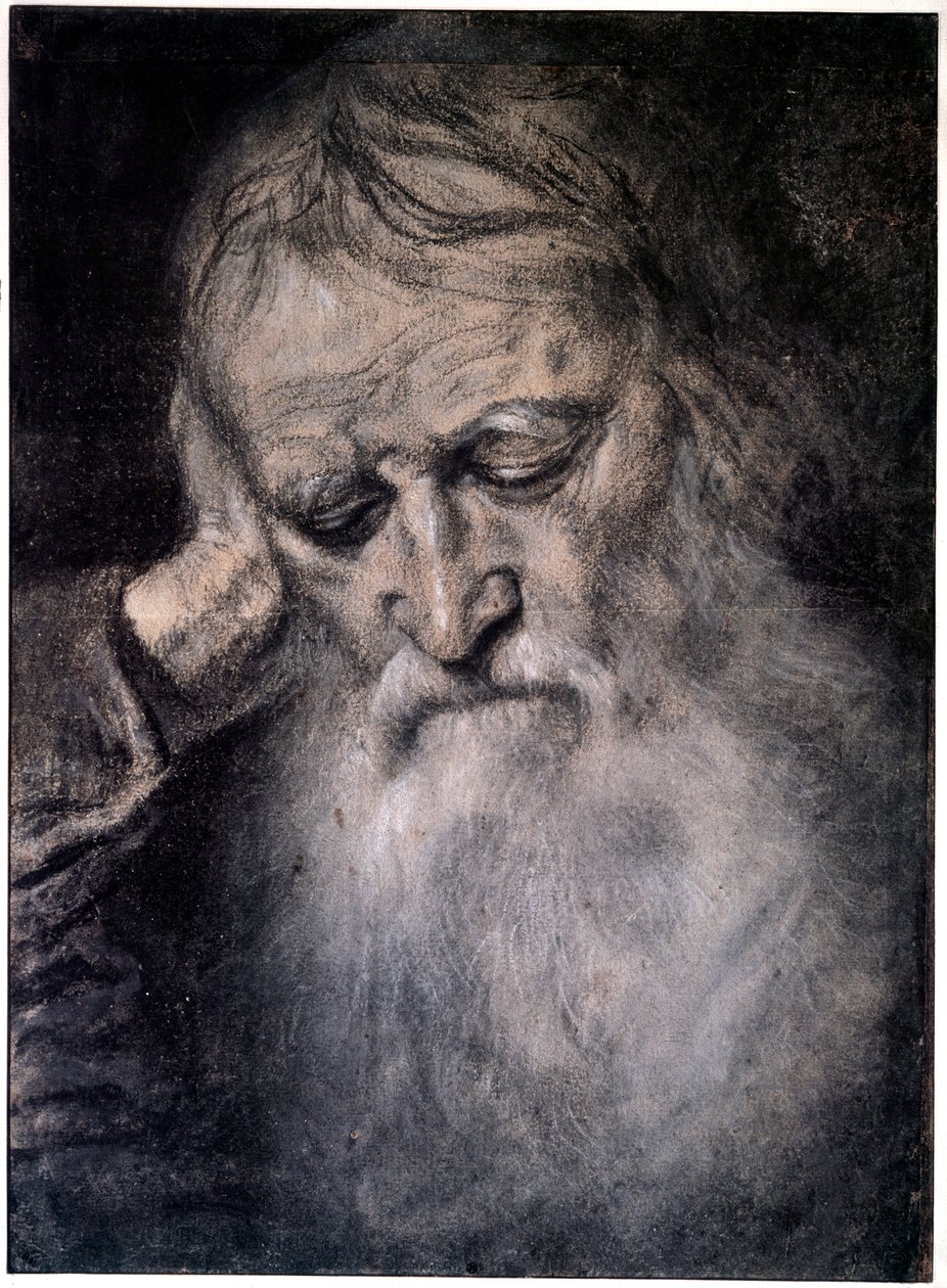 Głowa starca Rysunek Tiziano Vecellio zwany Tycjanem (1485-1576) XVI-wieczny Paryż, Luwr autorstwa Tiziano Vecelli